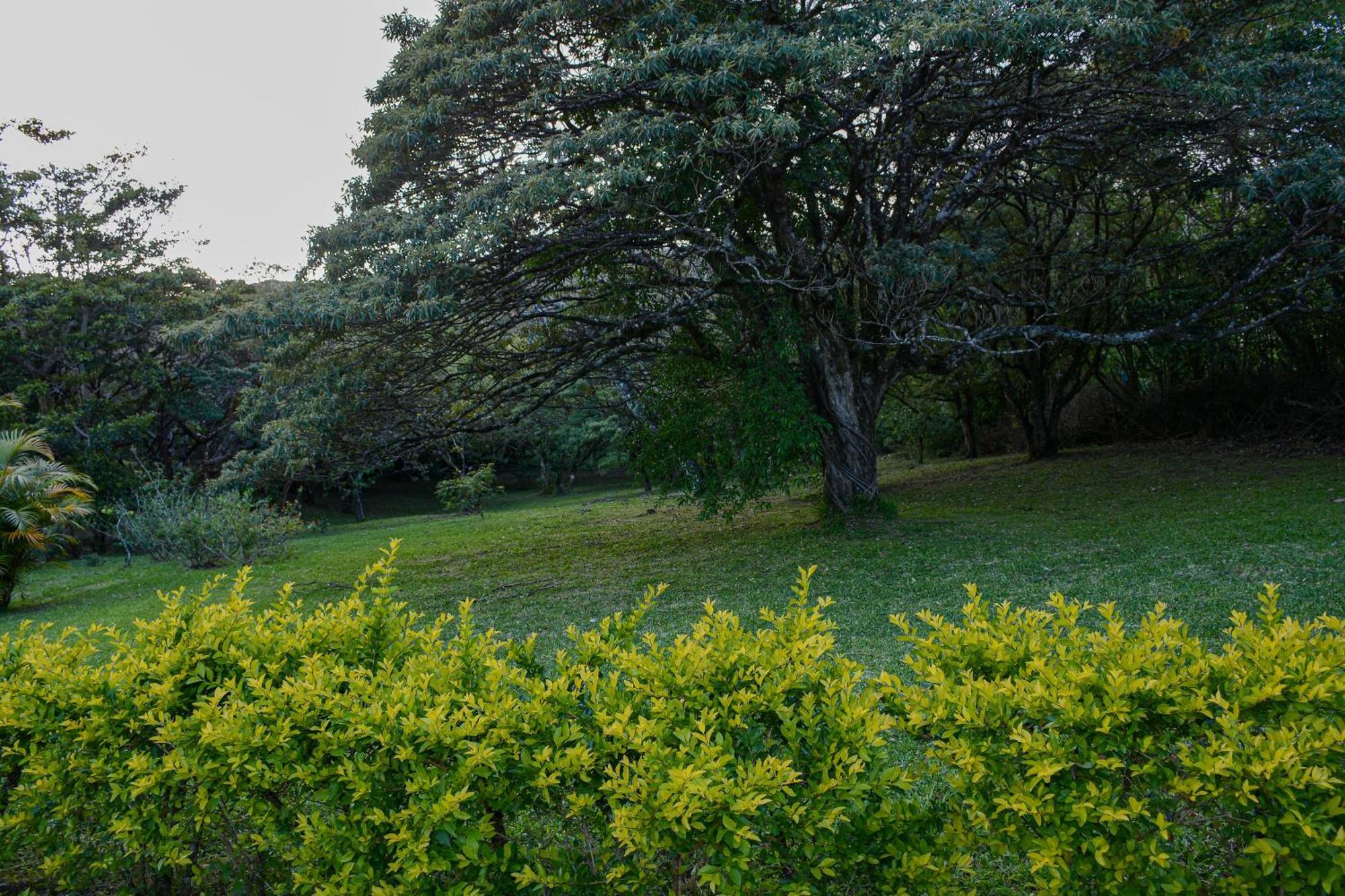 Las Marias Monteverde - Mountain View Cottages & Gardens Exterior foto